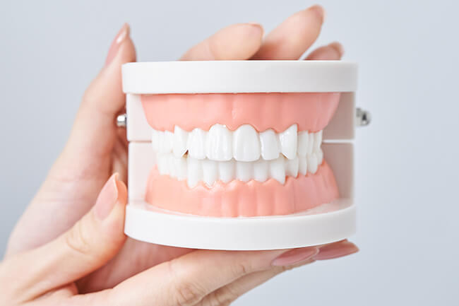 入れ歯（義歯）について